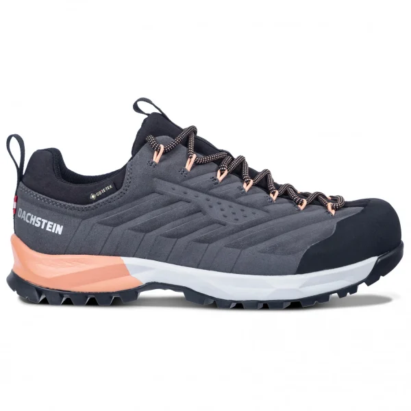 Meilleur Prix Dachstein – Women’s SF-21 GTX – Chaussures Multisports 1