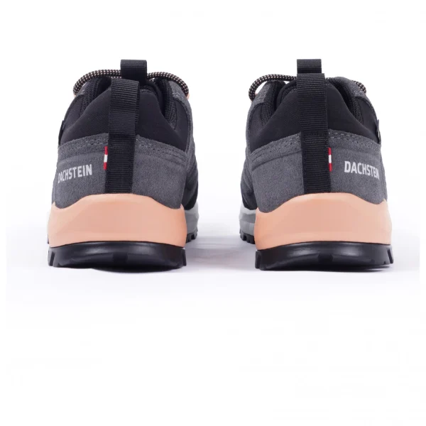 Meilleur Prix Dachstein – Women’s SF-21 GTX – Chaussures Multisports 6