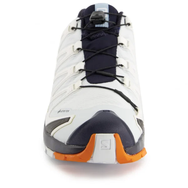 marques de renommée Salomon – Women’s XA Pro 3D V8 GTX – Chaussures Multisports 4